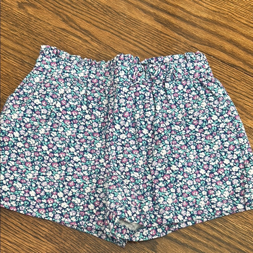 Janie and Jack High Waist Blue and Pink Shorts